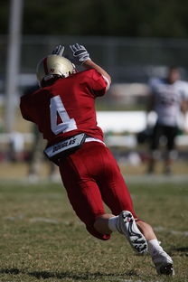 DB电竞官网平台-热刺力克巴黎圣日耳曼，托马斯·穆勒补时绝平法甲