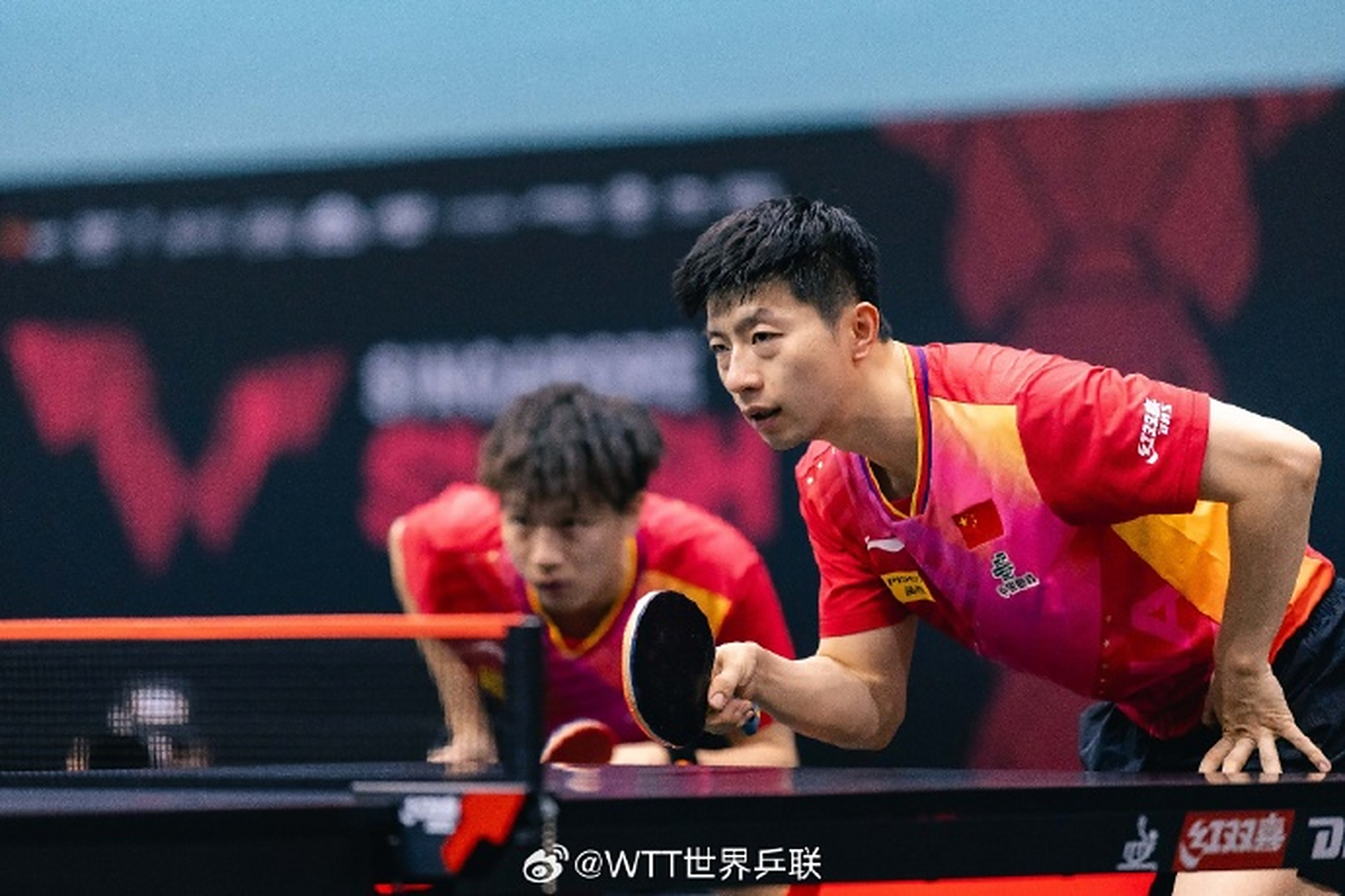 DB电竞-包含比利时乒乓球队完胜中国乒乓球队，马龙绝境逆转的词条