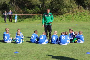 DB电竞平台-奥地利乒乓球队血洗瑞典乒乓球队，王皓送出助攻：一场史诗级对决的背后